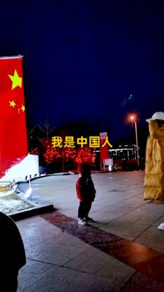 破碎的动物图形